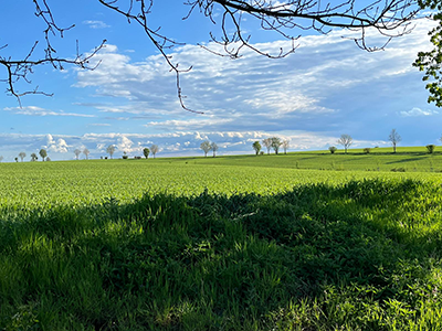 Wanderwege
